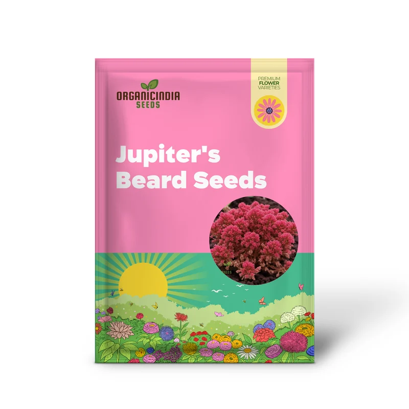 Red Jupiter’s Beard Seeds – Centranthus Ruber Variety for Vibrant Garden Blooms