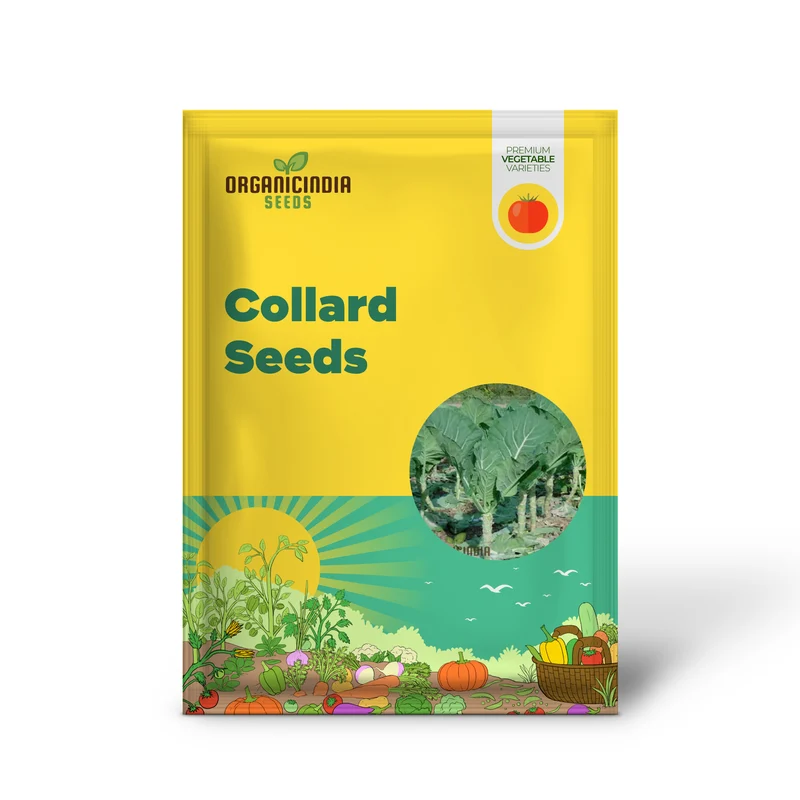 Collard Vegetable Seeds For Planting, Add Color to Your Garden