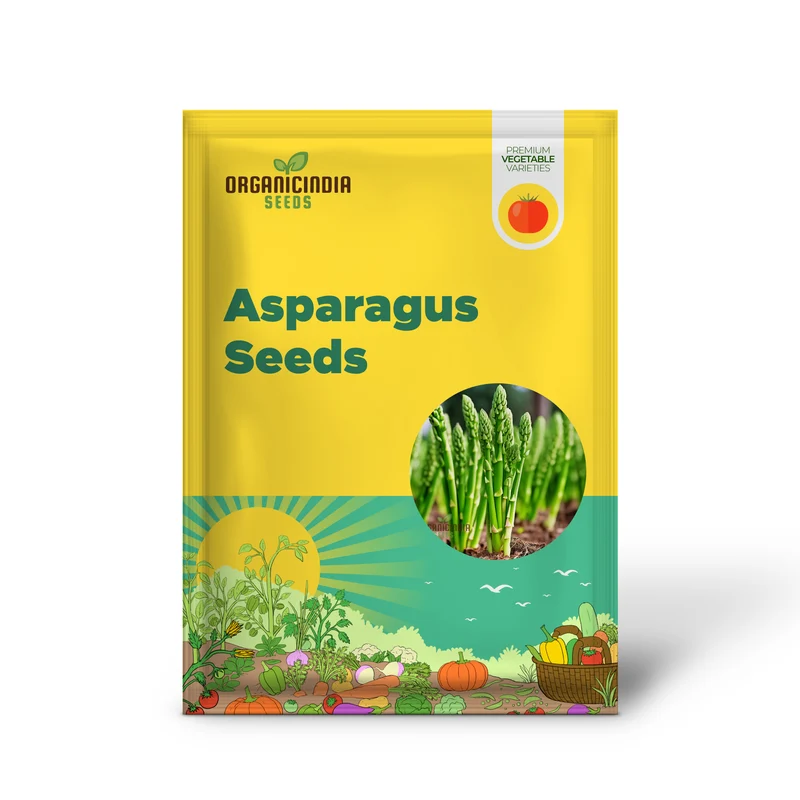 Green Asparagus Vegetable Seeds For Planting, Grow Your Own Fresh Asparagus at Home