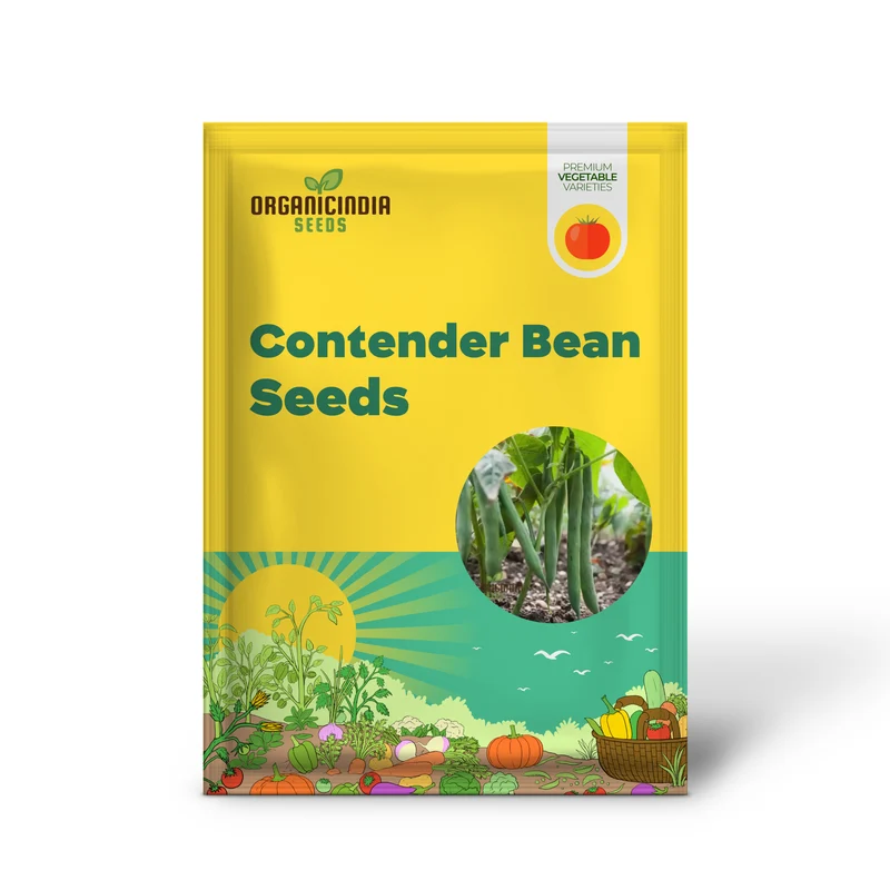 Green Contender Vegetable Bean Seeds , Heirloom Quality for Vibrant Gardens Seeds For Planting