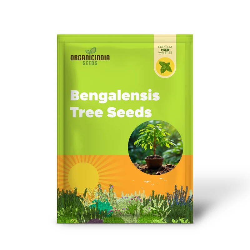 Green Bengalensis Tree Seeds – Premium Quality Seeds for Lush Shade Tree Growth