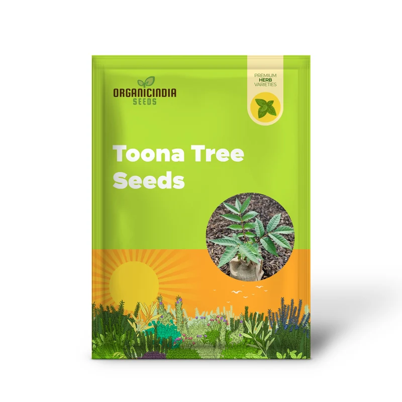 Fresh Green Toona Tree Seeds – Premium Quality Seeds to Grow Hardy, Lush Shade Trees for Home & Garden