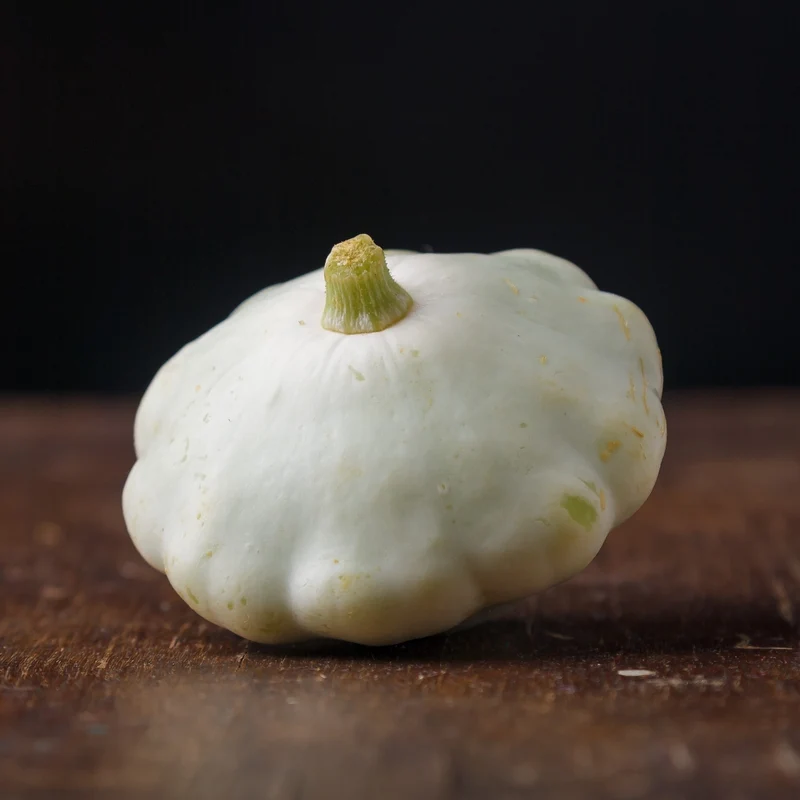 Pâtisson 'Early White Scallop'