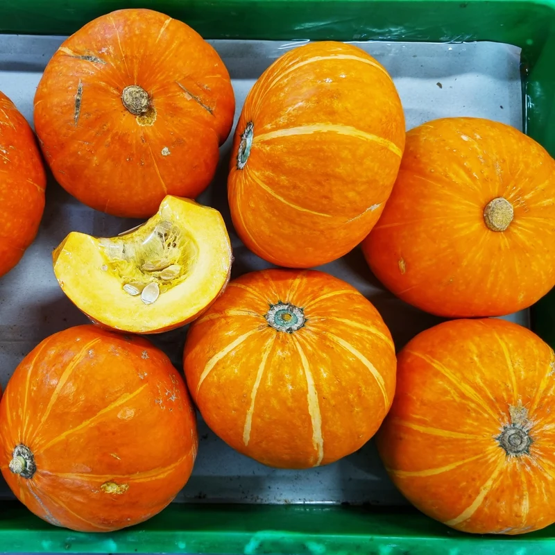 Courge d'hiver 'Sunshine F1'