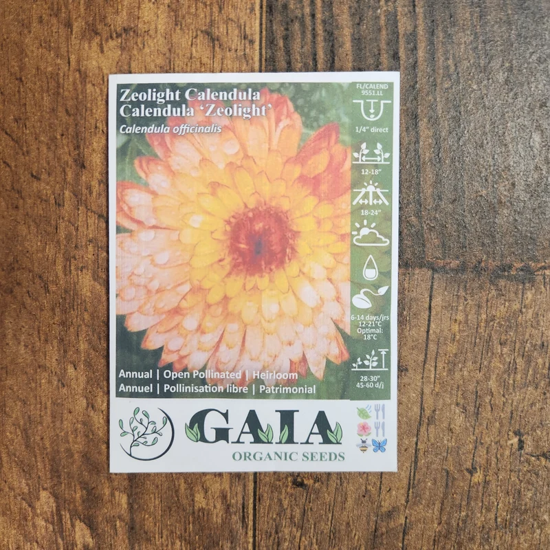 Calendule 'Zeolight' bio