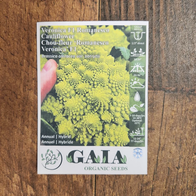 Chou-fleur 'Romanesco Veronica F1' bio