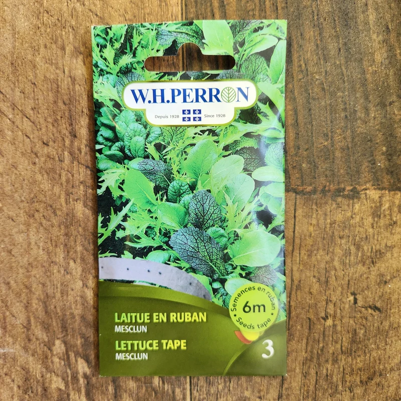 Laitue mesclun sur ruban ( Lactuca sativa )