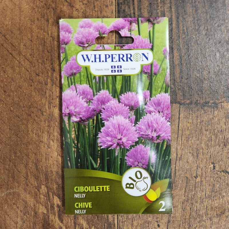 Ciboulette bio ( Allium schoenoprasum ‘Nelly’)