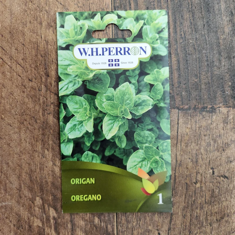 Origan ( Origanum vulgare subsp. hirtum )