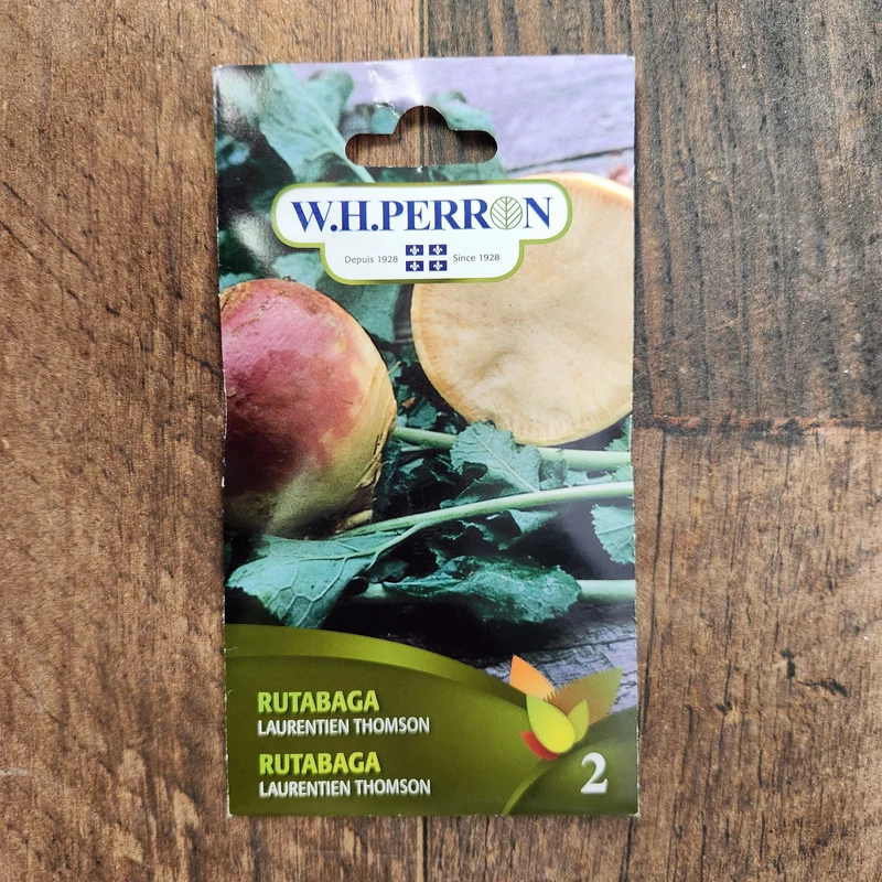 Rutabaga ( Brassica napus var. napobrassica ‘Laurentien Thomson’)