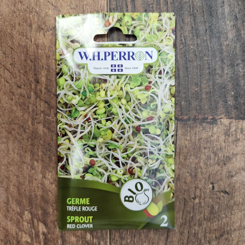 Germe de trèfle rouge bio ( Trifolium pratense )