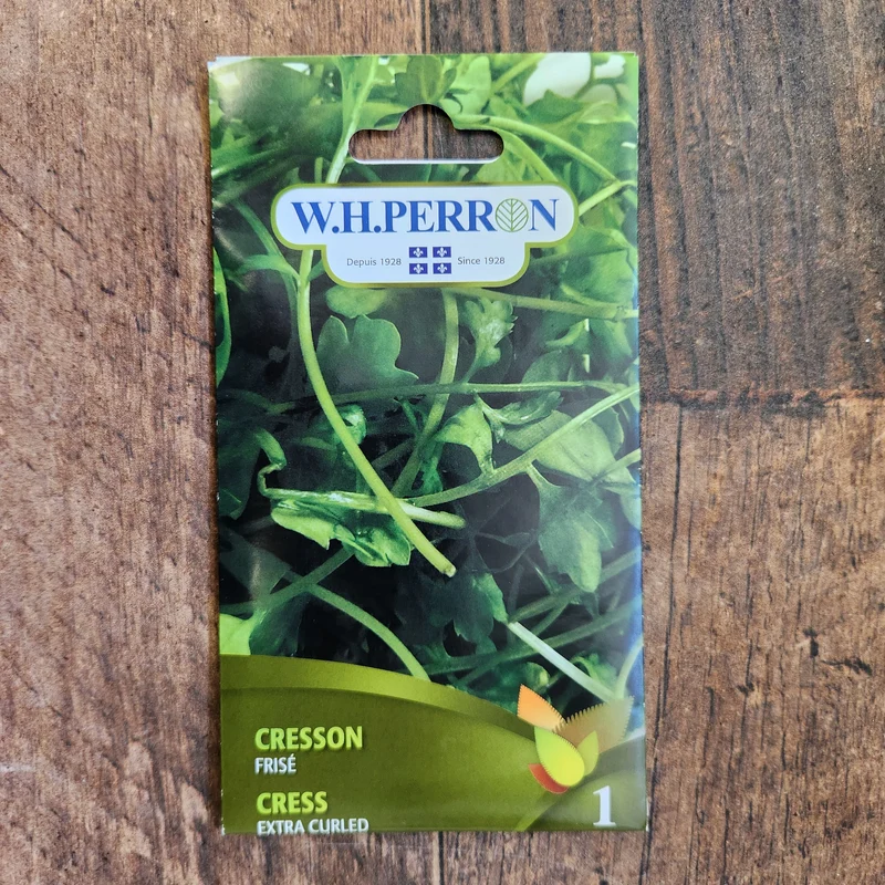 Cresson alenois frisé ( Lepidium sativum )
