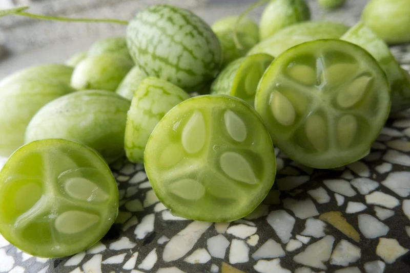 Concombre ( Melothria scabra ‘Mouse Melon’)