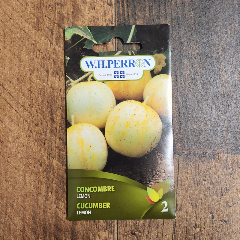 Concombre ( Cucumis sativus ‘Lemon’)