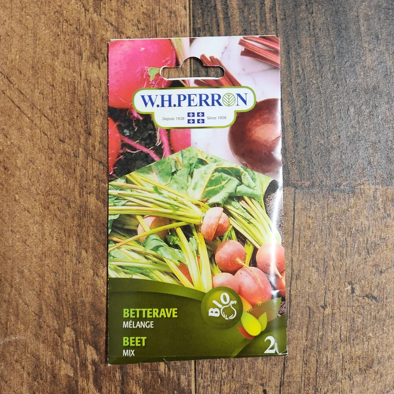 Betterave mélange bio ( Beta vulgaris )