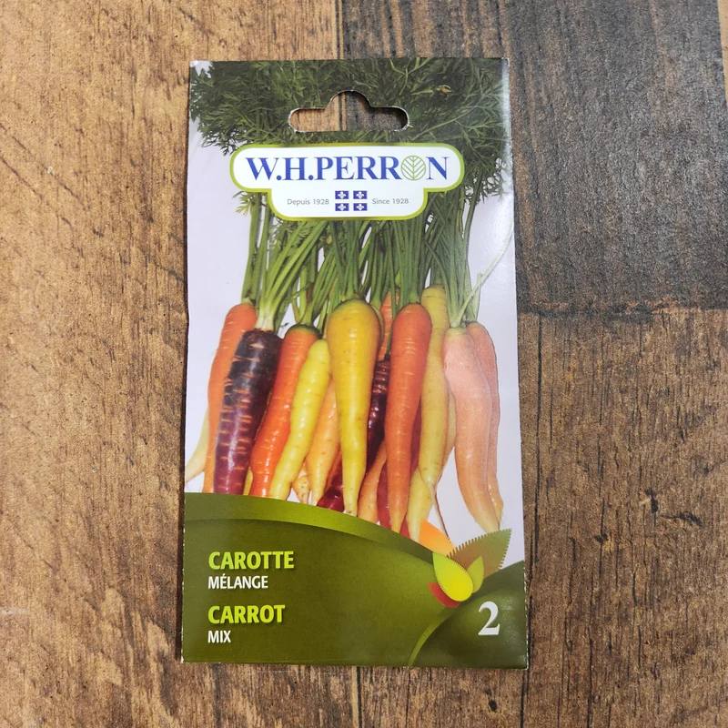 Mélange de carottes de couleurs ( Daucus carota )