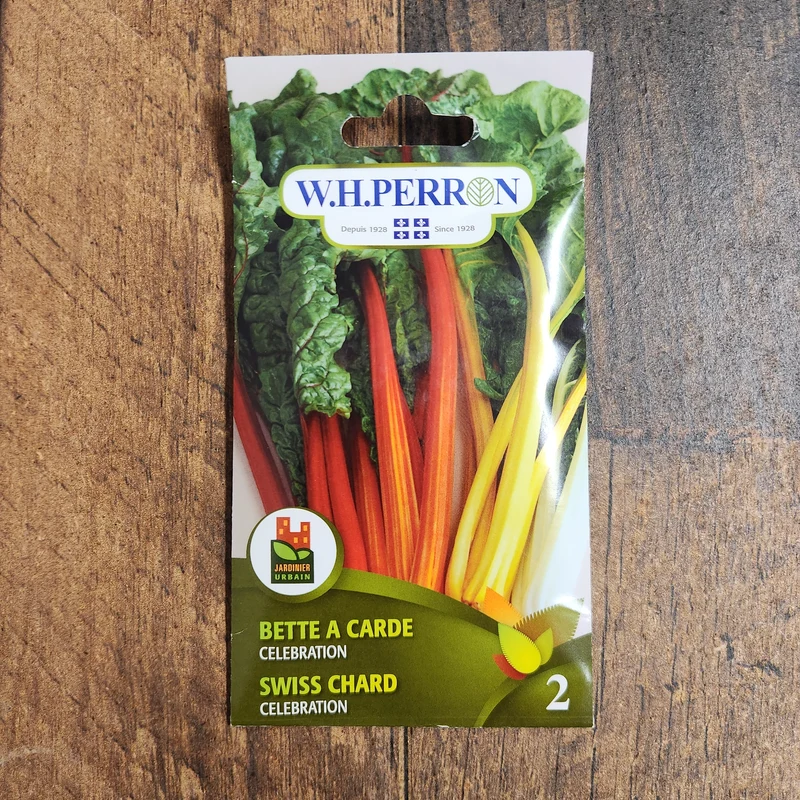 Bette à carde ( Beta vulgaris ‘Célébration’)