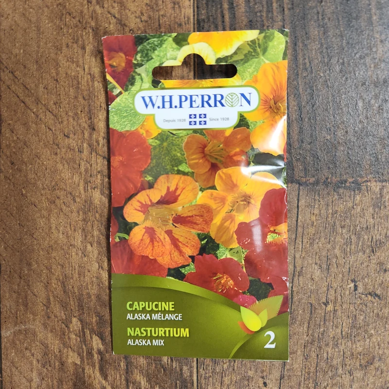 Mélange de capucine ( Tropaeolum majus ‘Alaska’)