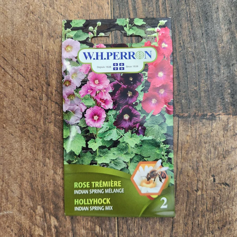 Mélange de rose trémière ( Alcea rosea ‘Indian Spring’)