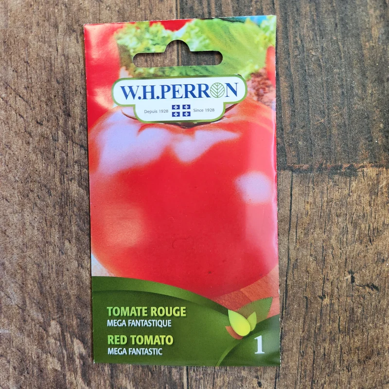 Tomate rouge ( Solanum lycopersicum ‘Mega Fantastique’)