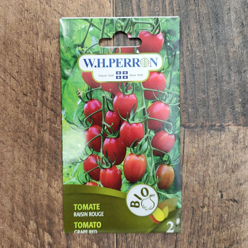 Tomate raisin rouge F1 bio ( Solanum lycopersicum )