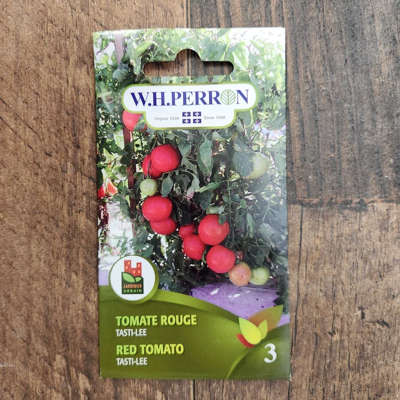 Tomate rouge ( Solanum lycopersicum ‘Tasti-Lee’)