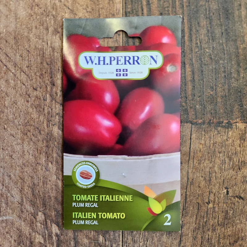 Tomate italienne ( Solanum lycopersicum ‘Plum Regal’)