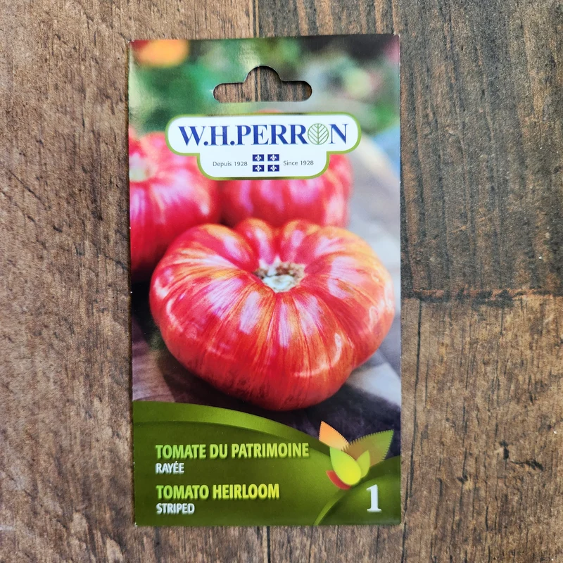 Tomate du patrimoine rayée ( Solanum lycopersicum )