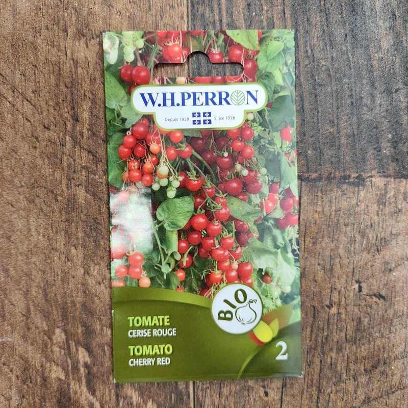 Tomate cerise rouge F1 bio ( Solanum lycopersicum )