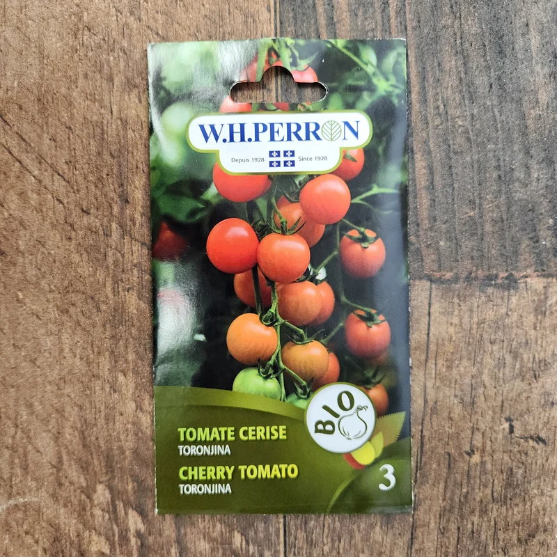 Tomate cerise F1 bio ( Solanum lycopersicum ‘Toronjina’)