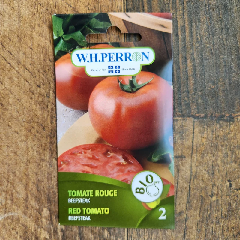 Tomate rouge bio ( Solanum lycopersicum ‘Beefsteak’)