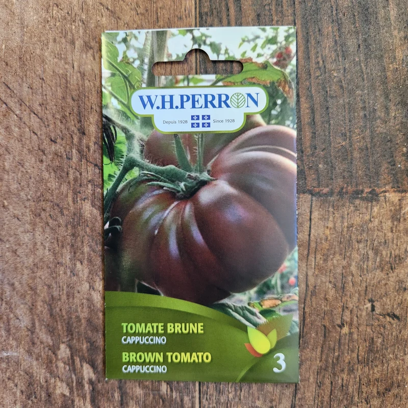 Tomate brune ( Solanum lycopersicum ‘Cappuccino’)