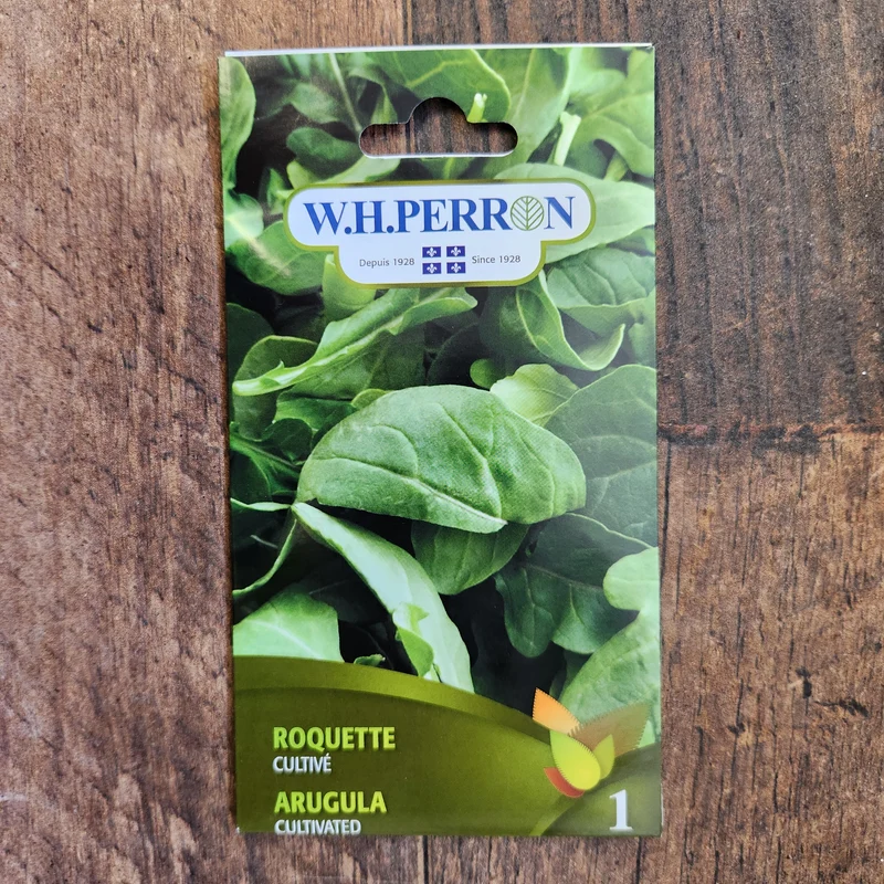 Roquette cultivée ( Eruca vesicaria )