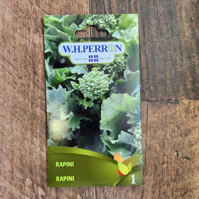 Rapini ( Brassica rapa var. ruvo )