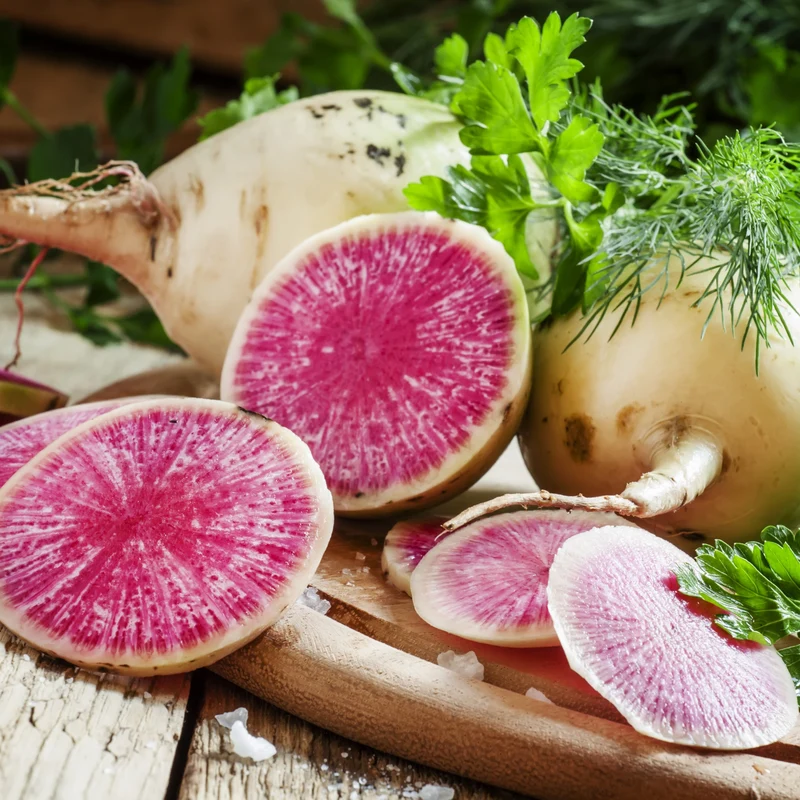 Radis melon d'eau ( Raphanus sativus ‘Rido Red’)