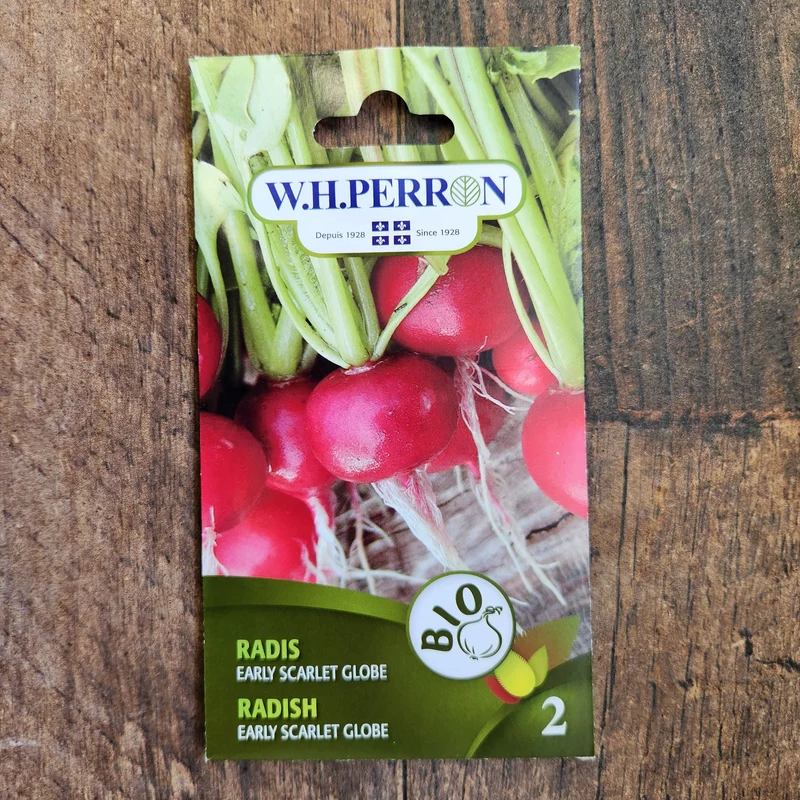 Radis bio ( Raphanus sativus ‘Early Scarlet Globe’)