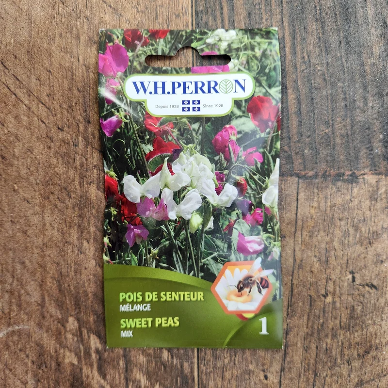 Mélange de Pois de senteur ( Lathyrus odoratus )