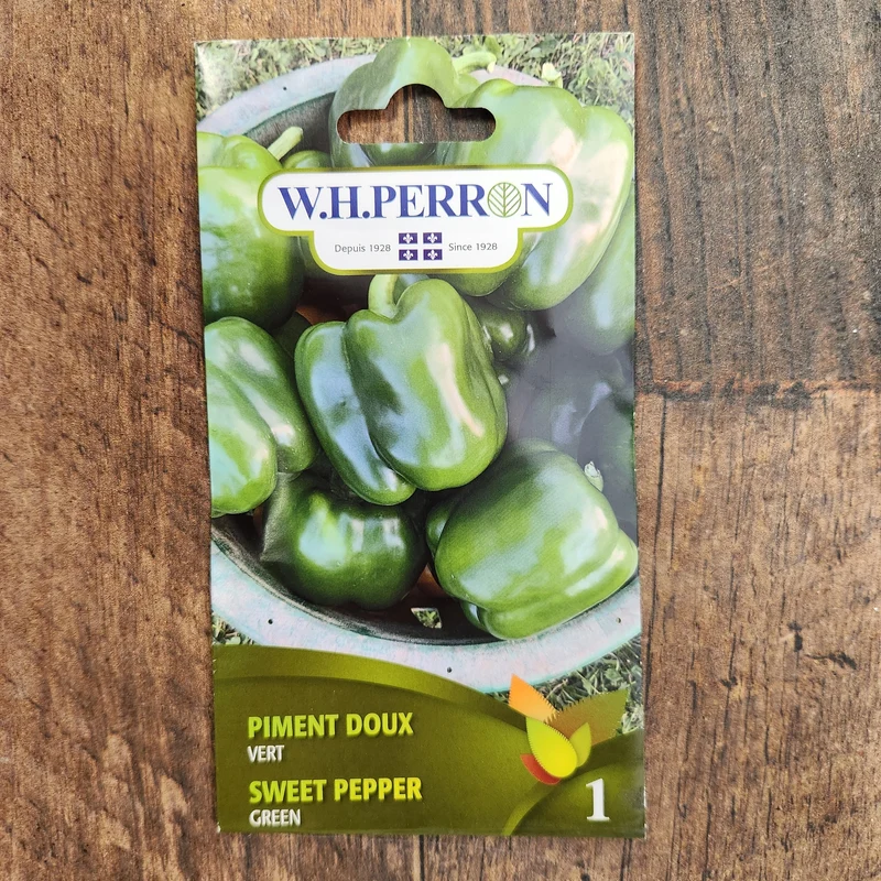 Poivron vert ( Capsicum annuum )