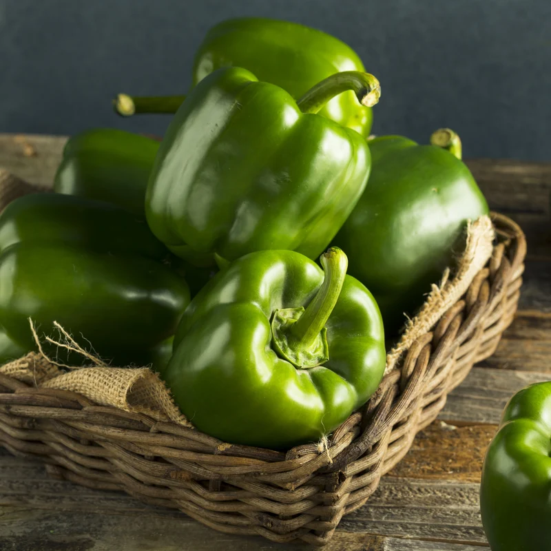 Poivron vert ( Capsicum annuum )