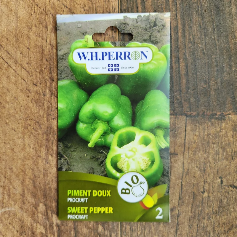 Poivron vert bio ( Capsicum annuum ‘Procraft’)