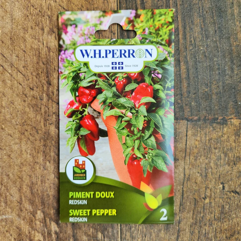 Poivron rouge ( Capsicum annuum ‘Redskin’)