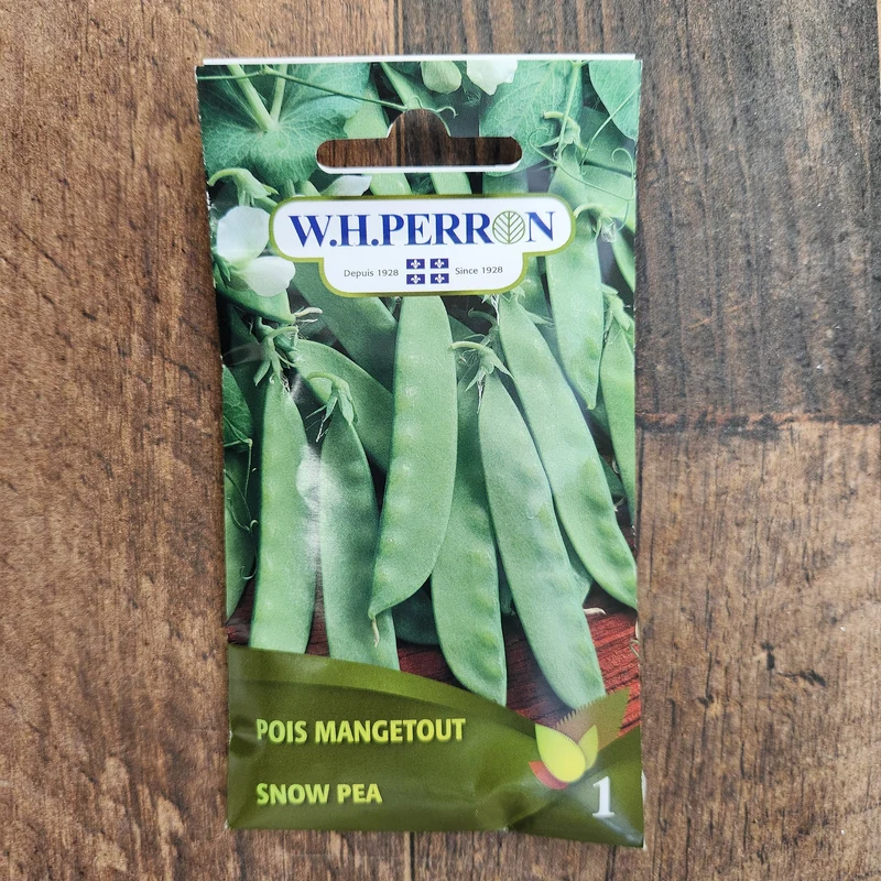 Pois mange-tout ( Pisum sativum var. macrocarpon )
