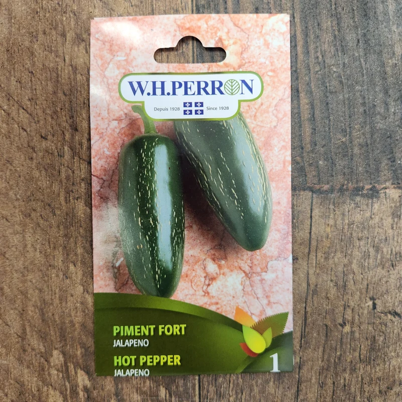 Piment fort vert ( Capsicum annuum ‘Jalapeno’)