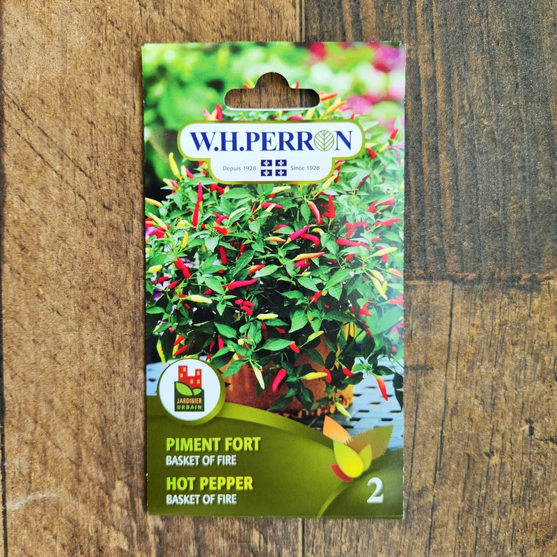 Piment fort ( Capsicum annuum ‘Basket of Fire’)