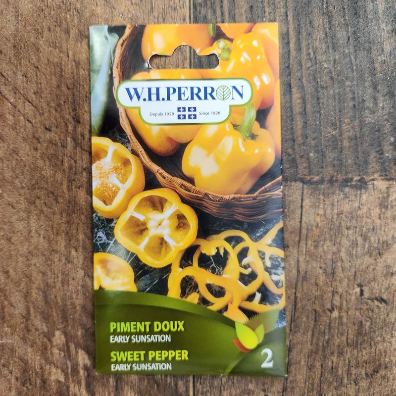 Poivron jaune ( Capsicum annuum ‘Early Sunsation’)