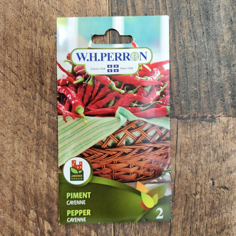 Piment fort ( Capsicum annuum ‘Cayenne’)