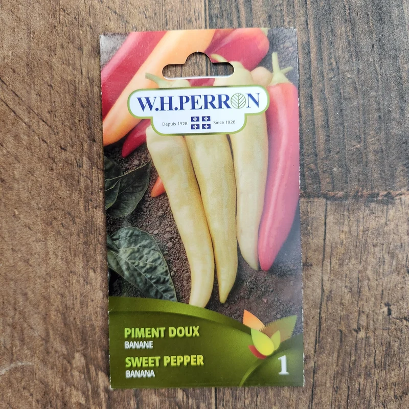 Poivron ( Capsicum annuum ‘Banane’)