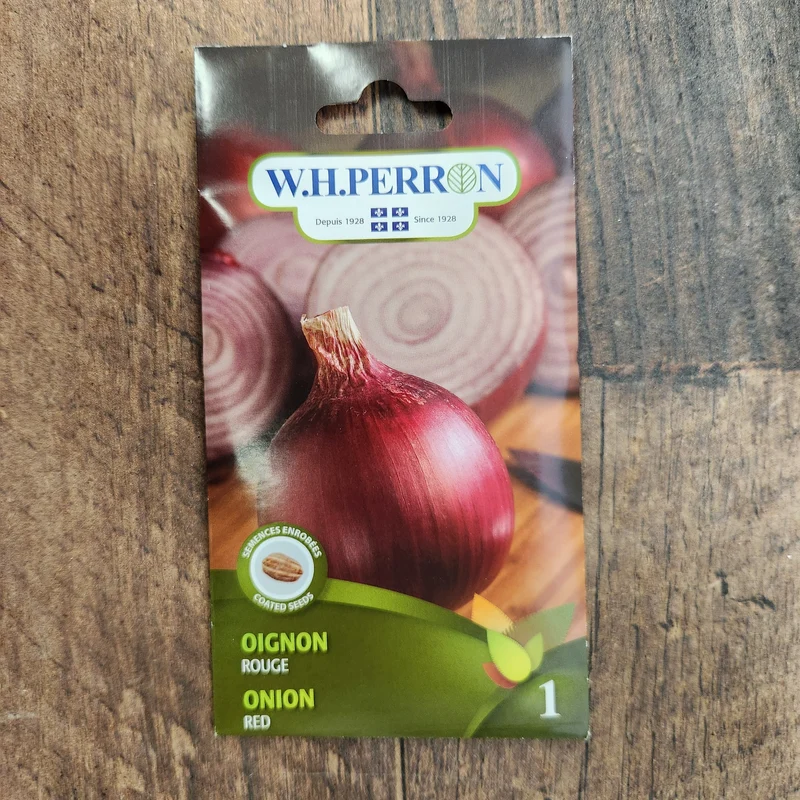 Oignon rouge ( Allium cepa )