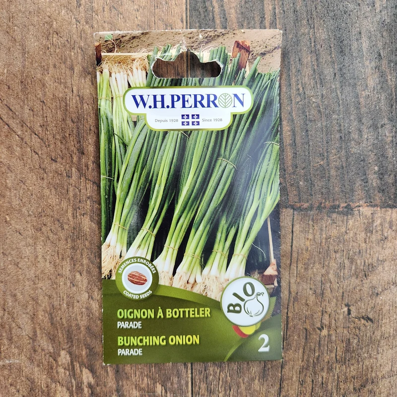 Oignon à botteler bio ( Allium fistulosum ‘Parade’)