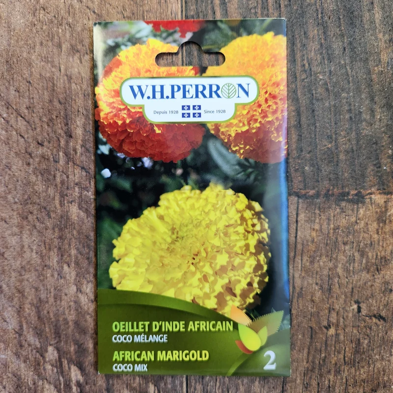 Mélange d'Oeillet d'Inde Africain ( Tagetes erecta ‘Coco’)